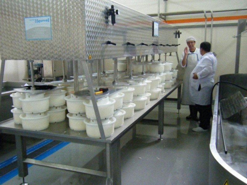 Greenfield investment in a dairy farm and a cheese making factory in Azerbaijan