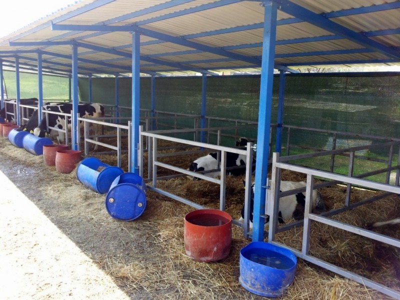 Farm milk zone support in Greece
