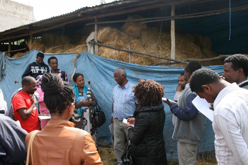 Dairy training in Ethiopia