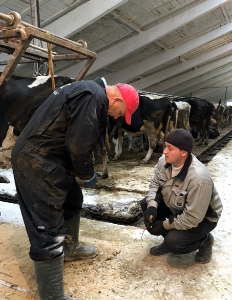 Hoof trimming training in Russia