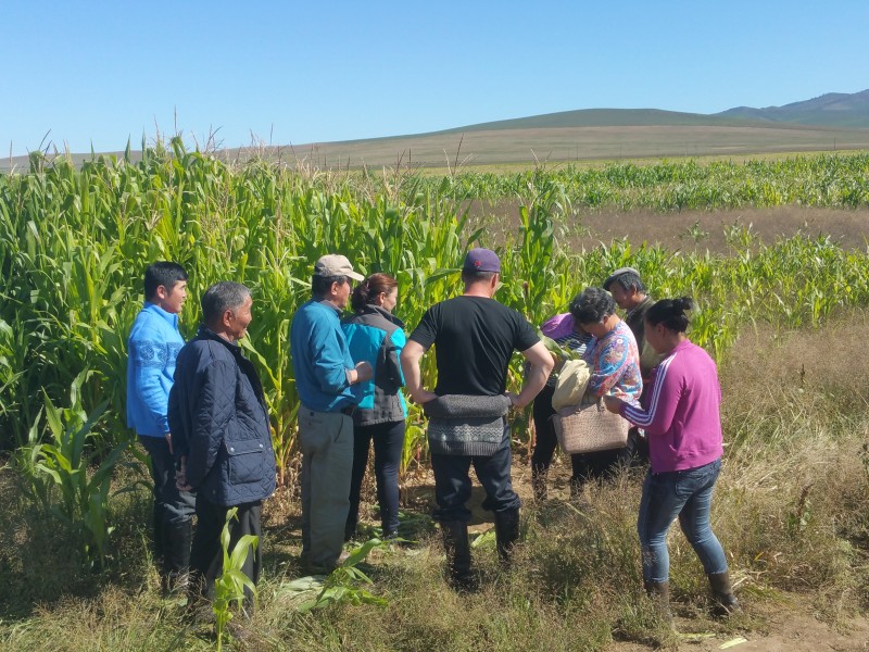 Training on winter feed production in Mongolia