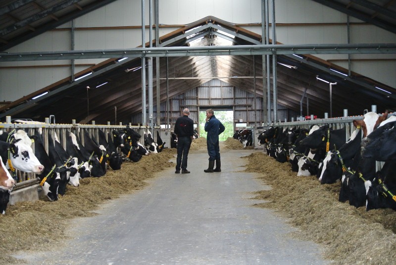 Excellent results at Bles Dairies Farm