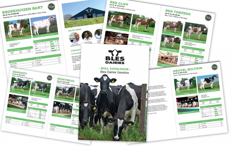 Bull catalogue for Bles Dairies East Africa