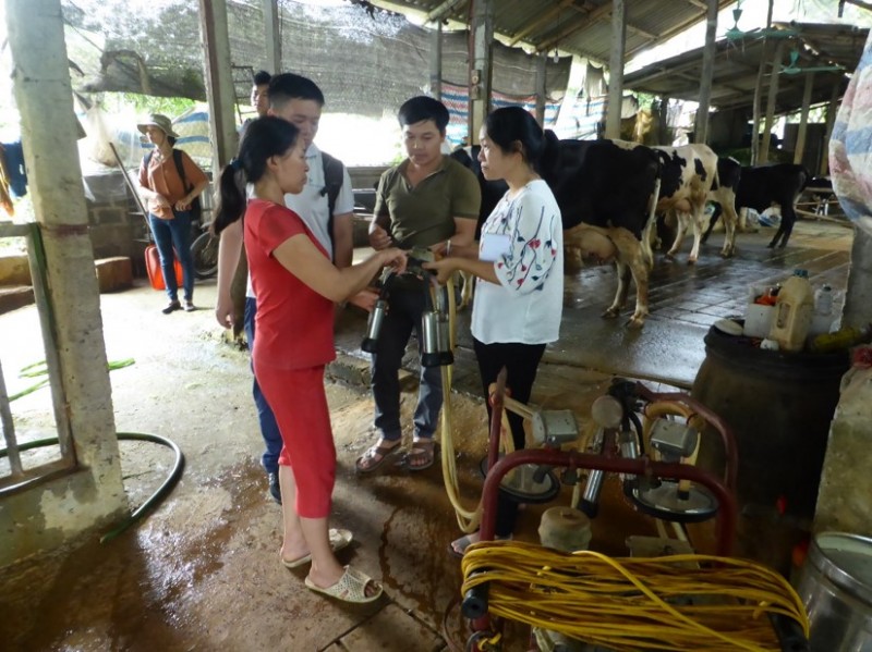 Agricultural extension and communication in Vietnam