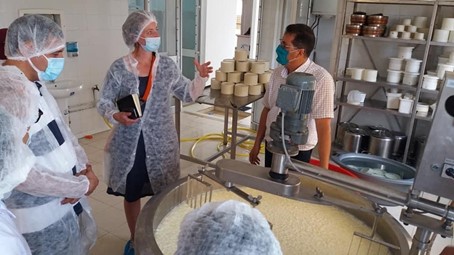 Employability of young professionals in the Tunisian dairy sector