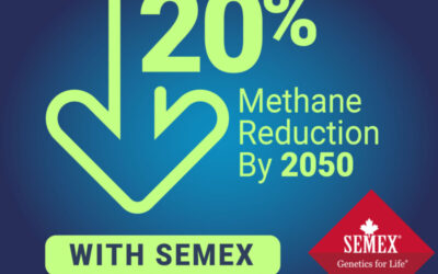 Sustainability Starts With Semex