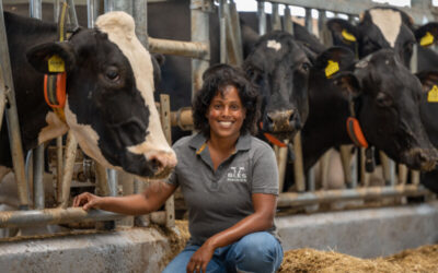 Bringing your dairy farm management to the next level