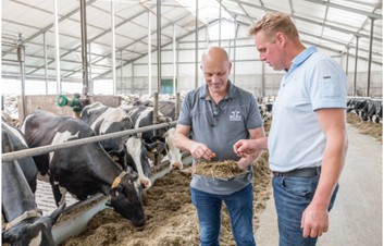 Talking to a Dutch dairy farmer